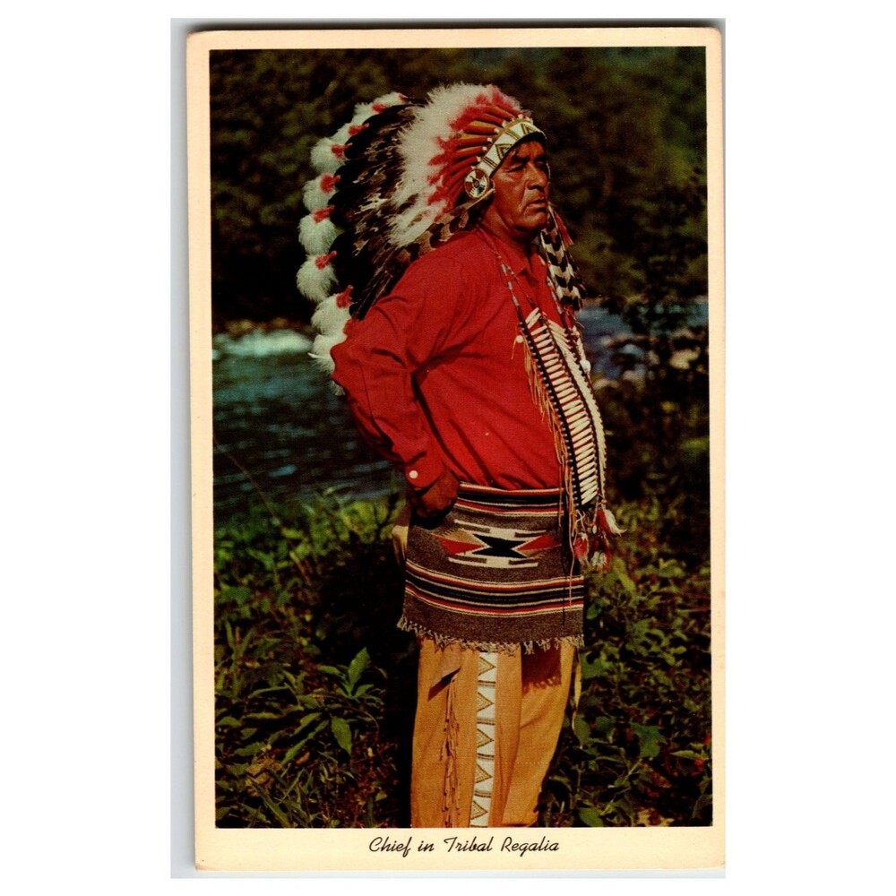 Vintage Curteichcolor Postcard Native American Chief Tribal Regalia Headdress